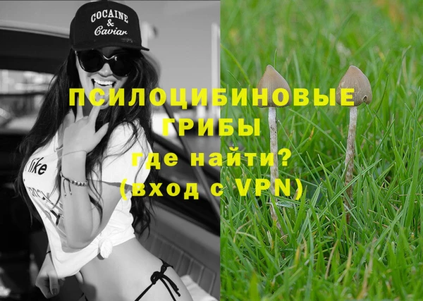 мдпв Верхний Тагил
