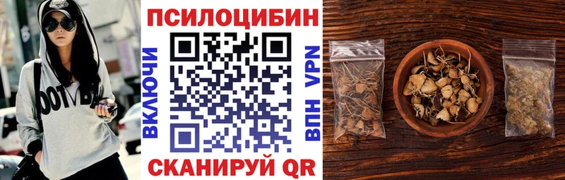Галлюциногенные грибы мицелий  Ковылкино 
